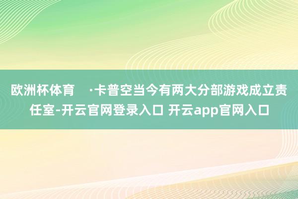 欧洲杯体育    ·卡普空当今有两大分部游戏成立责任室-开云官网登录入口 开云app官网入口