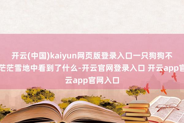 开云(中国)kaiyun网页版登录入口一只狗狗不知谈在茫茫雪地中看到了什么-开云官网登录入口 开云app官网入口