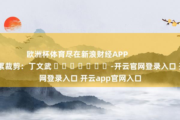 欧洲杯体育尽在新浪财经APP 拖累裁剪:丁文武 -开云官网登录入口 开云app官网入口