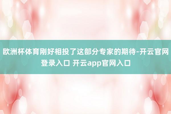 欧洲杯体育刚好相投了这部分专家的期待-开云官网登录入口 开云app官网入口