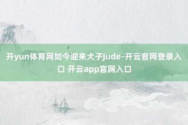 开yun体育网如今迎来犬子Jude-开云官网登录入口 开云app官网入口