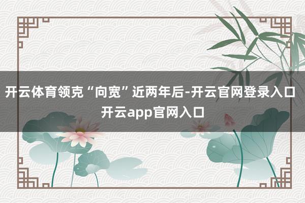 开云体育领克“向宽”近两年后-开云官网登录入口 开云app官网入口