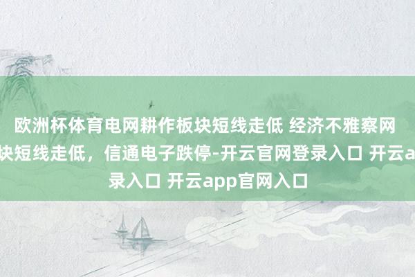 欧洲杯体育电网耕作板块短线走低 经济不雅察网 电网耕作板块短线走低，信通电子跌停-开云官网登录入口 开云app官网入口